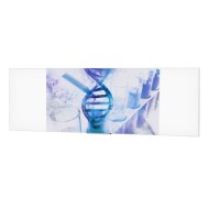 IDEA PANORAMIC 53"X168" VA 16:10