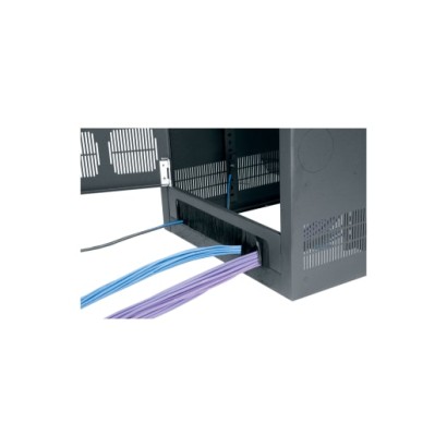 19 RU Cable-Entry Rear Door...