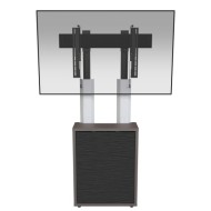 24 Inch C3 Single Display Mount System