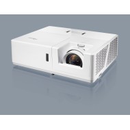 ZH606-W