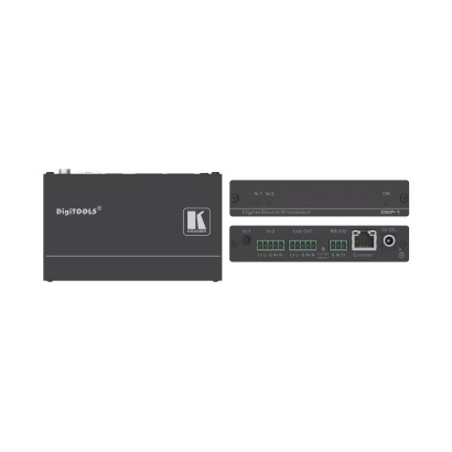 DSP-1