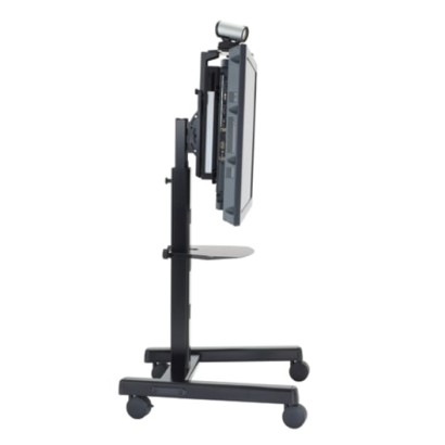 Medium Flat Panel Mobile AV...