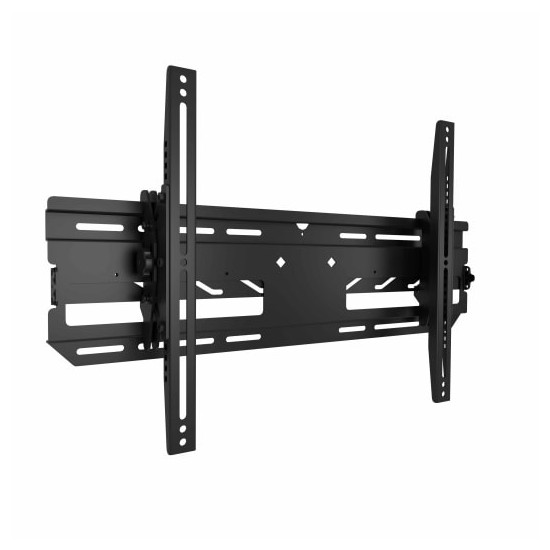 ODMLT Tilting Outdoor Wall Mount